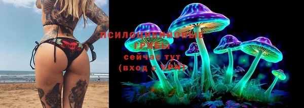 mdma Белокуриха