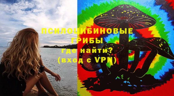 ГАЛЛЮЦИНОГЕННЫЕ ГРИБЫ Беломорск