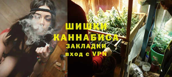 ГАЛЛЮЦИНОГЕННЫЕ ГРИБЫ Беломорск