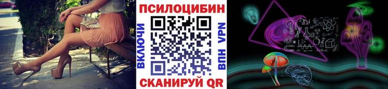 Галлюциногенные грибы Magic Shrooms  Купить где  Курганинск 